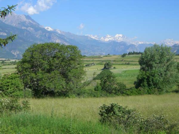 Alpineaccomodation Guillestre Esterno foto